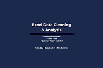 clean, organize and analyze your messy excel data professionally