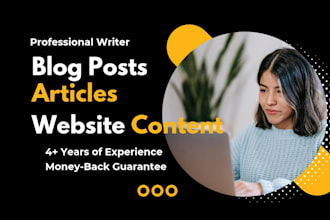 write SEO articles or website content for websites