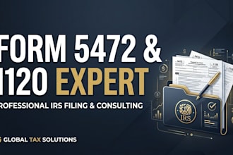 prepare form 5472, pro forma 1120, 5471 and 1040nr tax returns