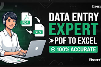 do data entry, excel work and pdf to excel