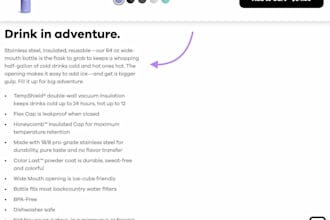 seo product descriptions for ecommerce stores