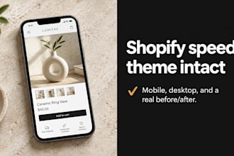 fix shopify page speed, increase shopify page speed without breaking your theme