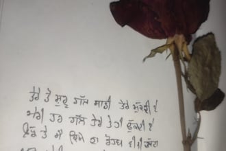 be your punjabi and hindi creative writer