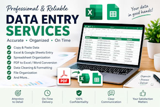 do data entry and excel data organization