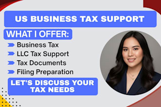 assist with US business tax preparation and llc tax filing