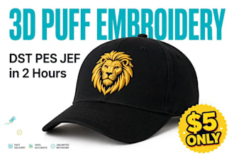 digitize logo for cap, hoodie, shirt embroidery dst pes jef file