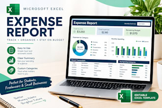create a professional expense report in excel