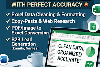 do professional data entry and excal data cleaning work