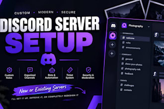 create a professional discord server with custom roles, channels, bots