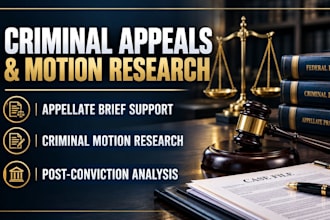 research, review, draft US criminal motions and supporting legal memoranda