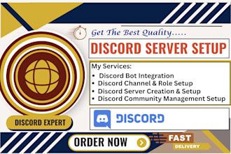 set up a professional discord server, channels, roles, and bots