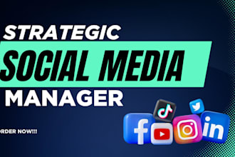 be your social media manager and content creator