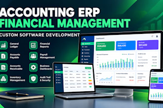 develop financial accounting software and management erp