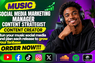 run your music social media and plan each release to grow your fanbase