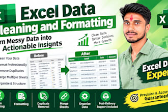 ms excel data cleaning and formatting