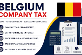 handle belgium company tax biztax vat intervat filing bookkeeping compliance