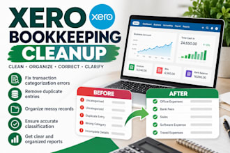 clean up messy xero bookkeeping and correct transaction errors