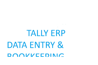 do tally erp bookkeeping and accounting data entry