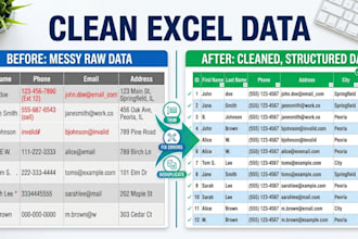clean, organize and format excel data