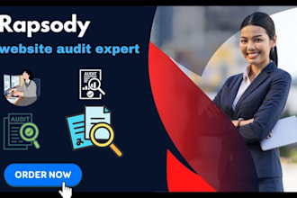 audit your shopify store and find issues