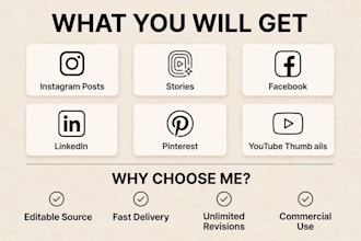design professional canva social media posts  for your business