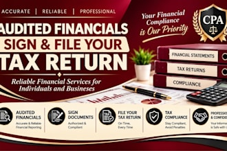 provide tax records and financial statements, audit report as a CPA