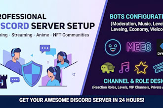 setup professional discord server with bots and roles