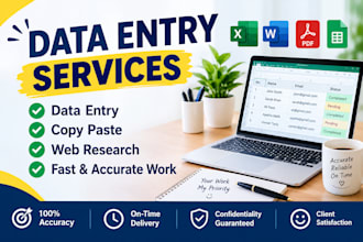 do accurate data entry, copy paste and excel data entry