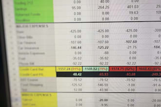 make a spreadsheet on income, expenses etc and advise where you can save