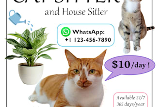 flyer, poster, infographic, etc design