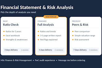 financial statement analysis and investment risk reports