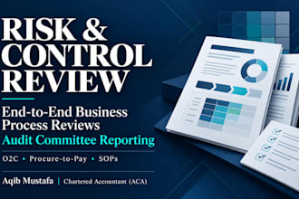review business process risks and controls for audit committee reporting