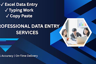 do fast data entry, typing work, and excel data entry