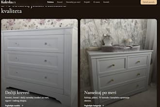design and develop proffesional websites