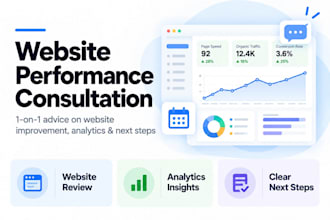 provide a 30 minute website performance consultation