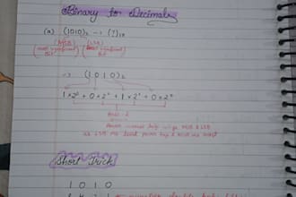 write neat handwritten notes, assignments, and project work for you