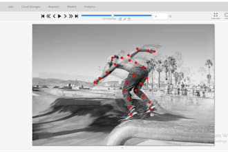 do professional data annotation, labeling, roboflow, cvat for image and video