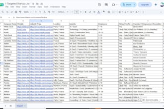 find targeted b2b leads with decision maker emails