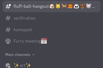 set up your discord server