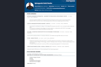 create professional CV or resume for jobs and scholarships