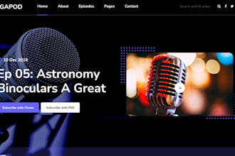 build podcast website radio station website voice over website music website