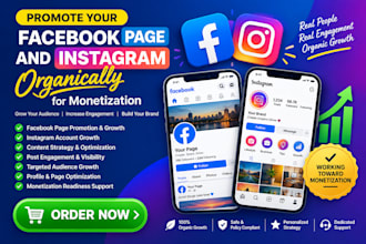 promote facebook page and instagram organically to complete monetization