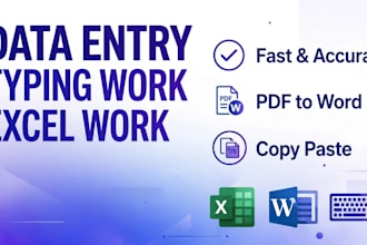 do data entry excel data copy past