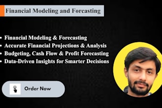 create professional financial models with expertise