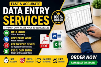 do fast and accurate data entry, typing and copy past work in 2 hours