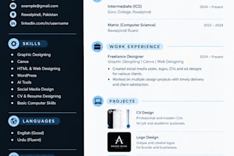 design a professional CV and resume