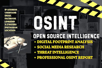 perform professional osint investigation and research