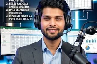 do professional data entry, excel data cleanup, and web