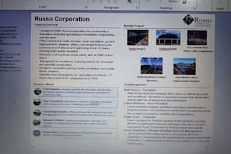 prepare professional company, industry research slides, and financial reports