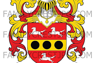create or recreate a unique logo or seal design